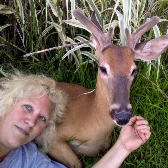 🐓🐿️🐦🦆🐑Meet your Posher, Tawnya🐄🐷🦊🐱🐕🐇🐴 - Picture 2 of 14